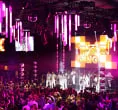 lila pink Event Halle